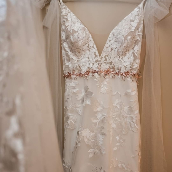 Gorgeous Boho Wedding Dress & Veil - Picture 5 of 5